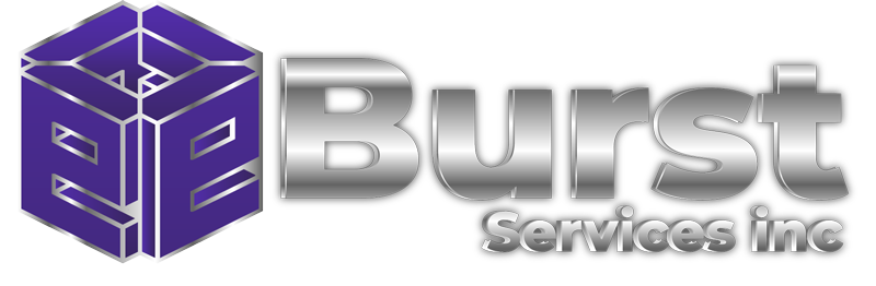 eBurst Services Inc